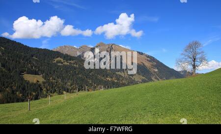 Idilliaco paesaggio autunnale vicino a Gstaad Foto Stock