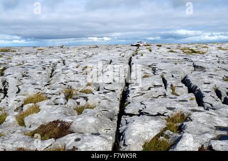 Ambiente carsico paesaggio Abbey Hill The Burren County Clare Irlanda Foto Stock