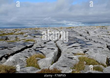 Ambiente carsico paesaggio Abbey Hill The Burren County Clare Irlanda Foto Stock