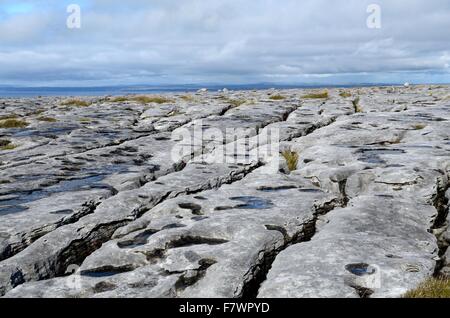 Ambiente carsico paesaggio Abbey Hill The Burren County Clare Irlanda Foto Stock