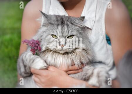 Ragazza seduta con un gatto sul suo giro Foto Stock