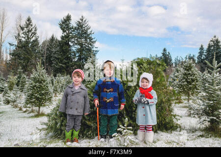 Tre bambini in piedi in tree farm Foto Stock