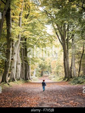 Ragazzo camminare attraverso la foresta Foto Stock