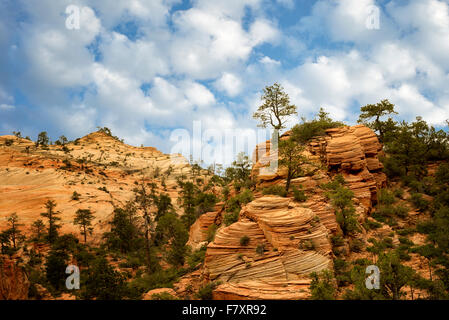 Vista delle formazioni rocciose nel Parco Nazionale di Zion, Utah Foto Stock