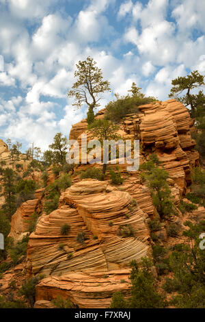 Vista delle formazioni rocciose nel Parco Nazionale di Zion, Utah Foto Stock