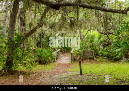 Percorsi a piedi anche se i legni tropicali in Oscar Scherer parco dello stato in Nokomis Florida Foto Stock