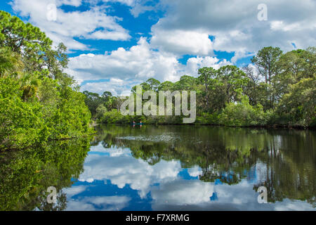 Sud Creek a Oscar Scherer parco dello stato in Nokomis Florida Foto Stock