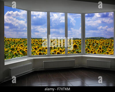Camera con metallo-plastico di finestre che si affacciano sul campo di girasoli Foto Stock