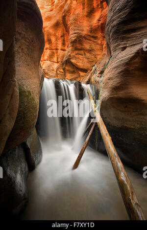 Cascata con scaletta in Kanarra Creek. Utah. Dixie National Forest Foto Stock