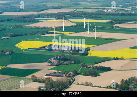 Paesaggio vicino herrenholz, vechta distretto, Bassa Sassonia, Germania Foto Stock