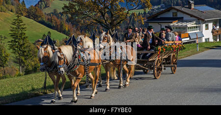 Leonhardiritt, processione del Cavallo, quattro-in-trasporto a mano, Hinterthiersee, Tirolo, Austria Foto Stock