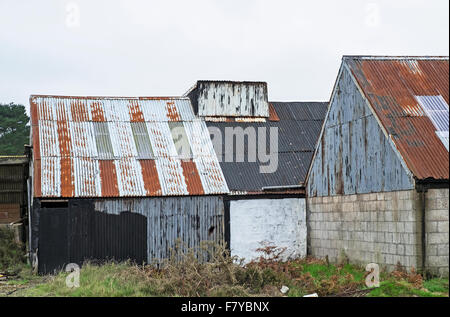 Edifici agricoli realizzati da galvanizzato Acciaio ondulato di pacciamatura Foto Stock