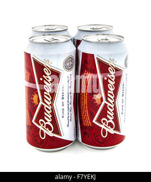 Quattro Pack di birra Budweiser su sfondo bianco Foto Stock