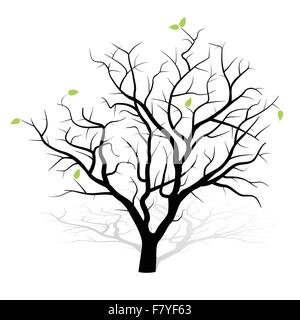 Albero fatto rivivere Illustrazione Vettoriale