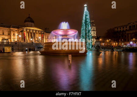 Londra, Regno Unito. Il 3 dicembre 2015. Il nuovo albero di Natale illuminato in Trafalgar Square. L'abete norvegese tree è donato annualmente dalla città di Oslo per il popolo di Londra ogni anno come segno di gratitudine per la Gran Bretagna è il sostegno durante la Seconda Guerra Mondiale. Credito: Stephen Chung / Alamy Live News Foto Stock