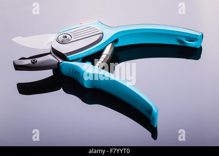 Studio shot di blue garden secateurs su di una superficie scura Foto Stock