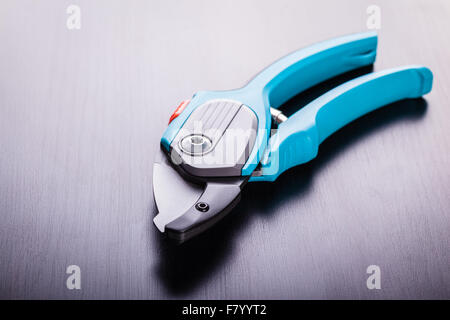 Studio shot di blue garden secateurs su di una superficie scura Foto Stock