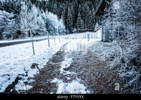 Un freddo gelido sentiero rurale con una staccionata in legno coperto di brina e alcune cabine nel bosco Foto Stock