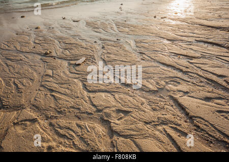 In prossimità del litorale su un tropicale spiaggia tailandese Foto Stock