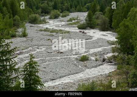 Intrecciato di fiume di montagna, nella parte superiore della Onde Valley, nel Parco Nazionale degli Ecrins, sulle alpi francesi. Foto Stock