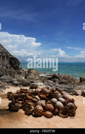 Noci di cocco sulla spiaggia Foto Stock