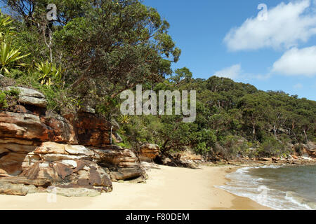 Athol spiaggia ho io Sydney Australia Foto Stock