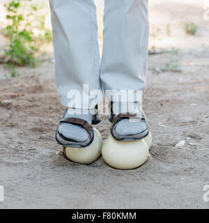 In piedi su uova di struzzo Foto Stock