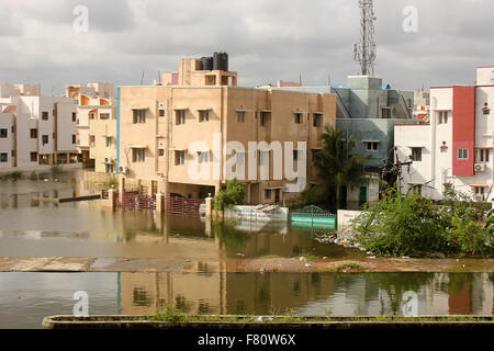 Chennai, India. 4 dicembre, 2015. Chennai inondazioni dopo dopo la pioggia caduta nella notte Credit: © ajith achuthan/Alamy Live News Foto Stock