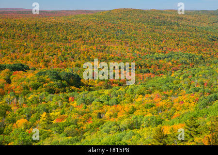 Foresta da West Bluff Vista panoramica, Brockway Mountain Drive, Keweenaw Heritage Site, rame Harbour, Michigan Foto Stock