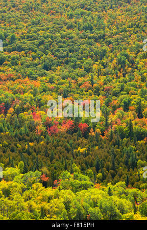 Foresta da West Bluff Vista panoramica, Brockway Mountain Drive, Keweenaw Heritage Site, rame Harbour, Michigan Foto Stock