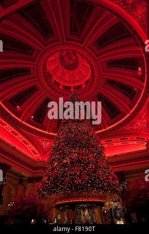 Albero di Natale presso il Dome su George Street di Edimburgo, in Scozia. Foto Stock