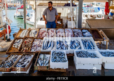 Pesce fresco per la vendita, la Marina, Bodrum, Provincia di Mugla, Turchia Foto Stock