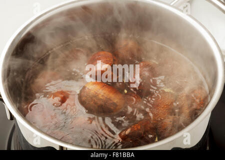 Le castagne cottura in pentola di acqua Foto Stock