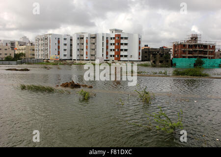 Chennai, India. 4 dicembre, 2015. Proiettore di Chennai Chennai Dopo forti piogge durante la notte, le persone che lottano per la loro vita regolare di credito: ajith achuthan/Alamy Live News Foto Stock