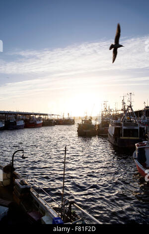 Nel tardo pomeriggio vista del porto di North Shields Fish Quay, Tyne & Wear, Regno Unito. Foto Stock