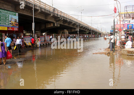 Chennai, India. 4 dicembre, 2015. Chennai Dopo forti piogge Overnigh Credit: © ajith achuthan/Alamy Live News Foto Stock