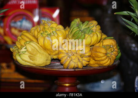 Il Buddha la mano, Citrus medica var. sarcodactylis, interdigitati citron Foto Stock