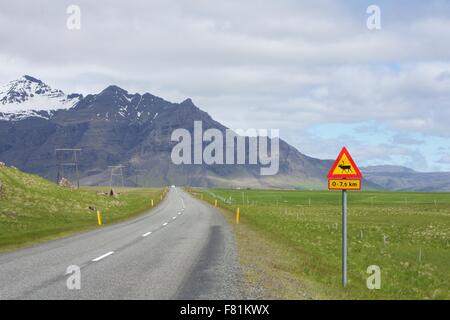 Segni di renne lungo una bella strada in Islanda Foto Stock