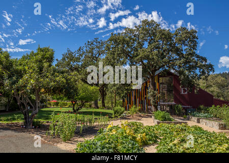 Ehlers cantina immobiliare, Ehlers Lane, St Helena, la Valle di Napa NAPA County, California, Stati Uniti, America del Nord Foto Stock