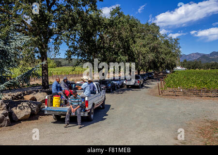 Cantina lavoratori, team raccolto, vigneti, Ehlers cantina immobiliare, Ehlers Lane, St Helena, Napa Valley, California, Stati Uniti, America del Nord Foto Stock