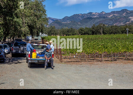 Cantina lavoratori, team raccolto, vigneti, Ehlers cantina immobiliare, Ehlers Lane, St Helena, Napa Valley, California, Stati Uniti, America del Nord Foto Stock