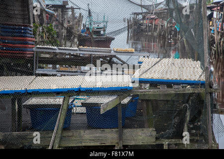 Sekinchan villaggio di pescatori, penisola della Malesia. Foto Stock