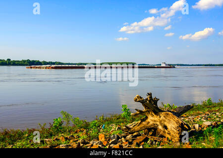 Rimorchiatore a traino chiatte a spinta lungo il grande fiume Mississippi visto qui a Greenville MS Foto Stock