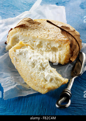Tradizionale cascina francese caprini freschi ( chevre) regonal formaggio dalla Normady Foto Stock