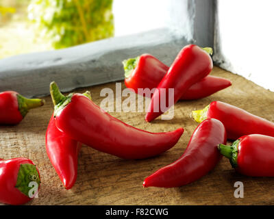 Rosso fresco peperoncino intero Foto Stock