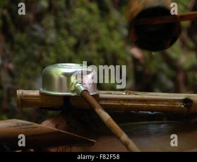 Un bambù fontana acqua a Kyoto, in Giappone. Foto Stock