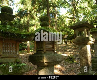 Nei pressi di Kasuga Taisha (Kasuga Grand santuario) a Nara, Giappone. Foto Stock