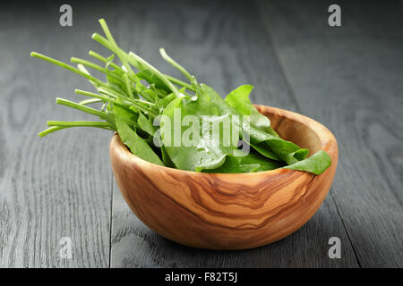 Fresh sorrel lascia nella tazza di olive su legno di quercia tabella Foto Stock