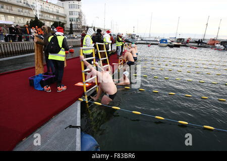 Gdynia, Polonia 5th, dic. 2015 3rd International Inverno Nuoto Campionati Gdynia 2015. Vicino a 100 extreme nuotatori provenienti da tutto il mondo di competere su distanze di 25 e 50 metri nel Baltico fredde acque del mare a Gdynia Marina Credito: Michal Fludra/Alamy Live News Foto Stock