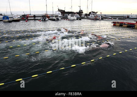 Gdynia, Polonia 5th, dic. 2015 3rd International Inverno Nuoto Campionati Gdynia 2015. Vicino a 100 extreme nuotatori provenienti da tutto il mondo di competere su distanze di 25 e 50 metri nel Baltico fredde acque del mare a Gdynia Marina Credito: Michal Fludra/Alamy Live News Foto Stock